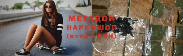 крисы Корсаков