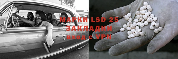 крисы Корсаков