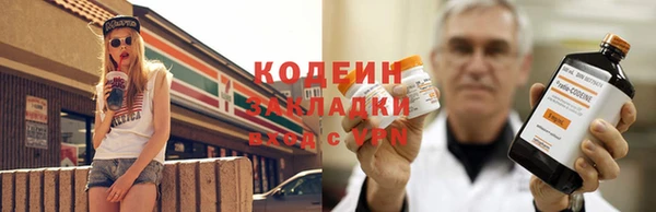 крисы Корсаков
