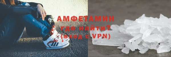 индика Козловка