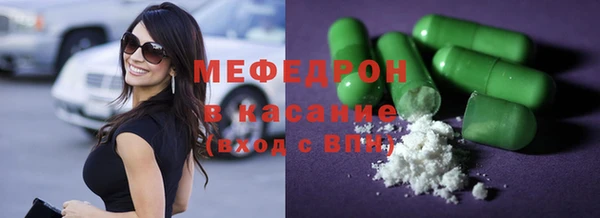 крисы Корсаков