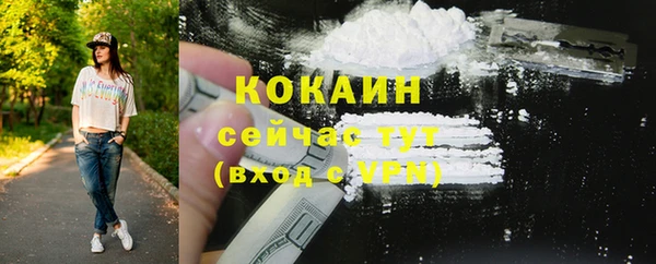 крисы Корсаков
