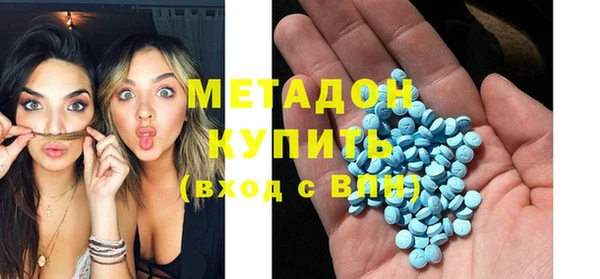 крисы Корсаков