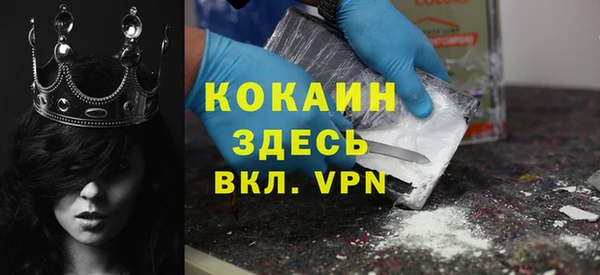 крисы Корсаков