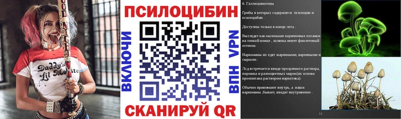 Псилоцибиновые грибы мухоморы  Купить закладки  Высоковск 